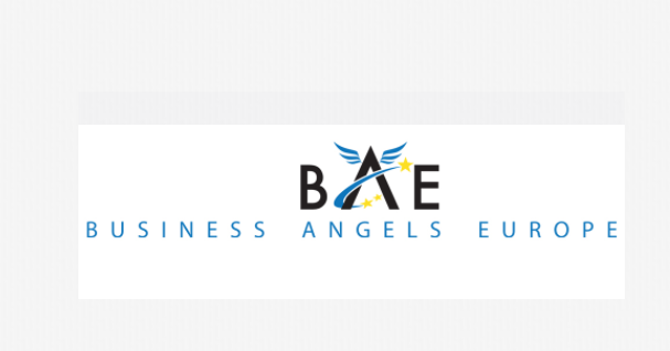 BAE Logo