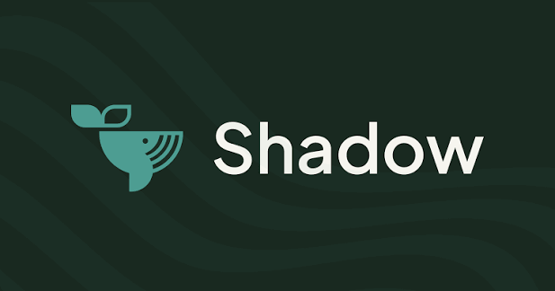 logo Shadow Santé